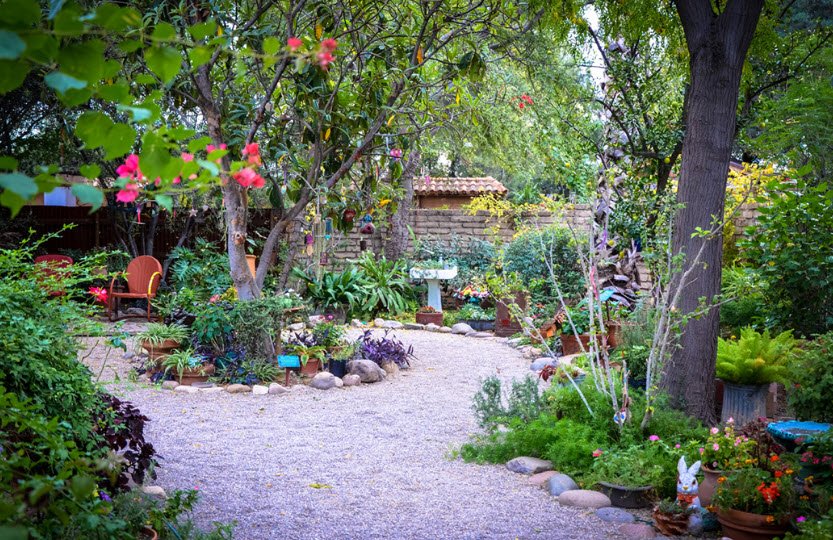 Tucson Botanical Gardens, United States